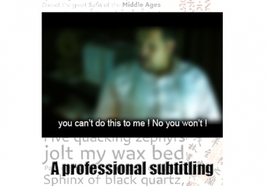 Professional Video Subtitles