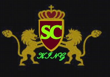 i will promote your music with in 24 hours