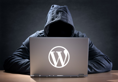Fix your wordpress websites bugs and give security