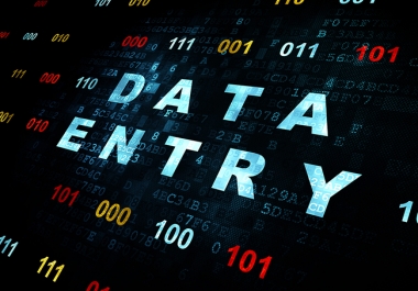 Data Entry Services pdf, excel and word