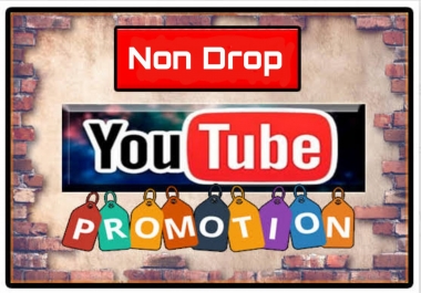 Non Drop Youtube Marketing Safe Video Promotion Via Real User