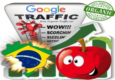 Brasilian Search Traffic from Google. com. br with your Keywords
