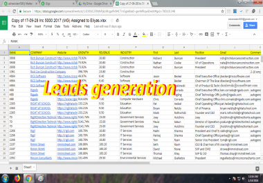Give Accurate and Valid Leads Generation In Low Price
