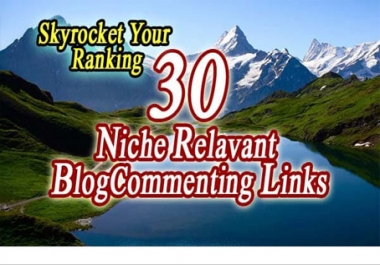provide 30 niche relevant blog comment high quality