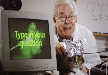 Make This Funny Promotional Cat Video