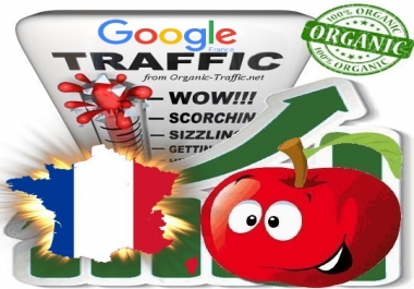 French Search Traffic from Google. fr with your Keywords