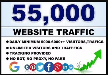 55,000 Quality Web Traffic For 12 Days