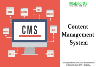 CMS Development Services