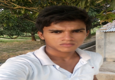 add Permanent manual Build PR10 Backlinks include Edu High