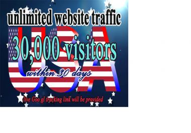 Drive Unlimited Real Website, Traffic, Visitors For 30 Days
