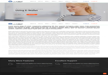 eWallet - Online Payment Gateway