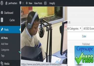 Publish 1 HQ Content Daily SEO Article Writer Writing 600 Words,  SEO Article to your Blog