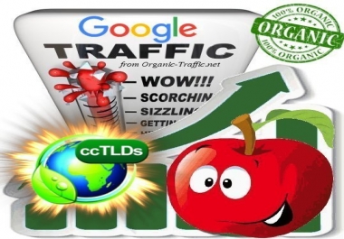 Quality Search Traffic from Google. com for 30 days