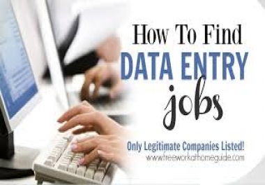 We are expert in Data Entry service.