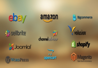 100k traffic for Ebay,  Amazon Store Rankings,  Sales and promotion