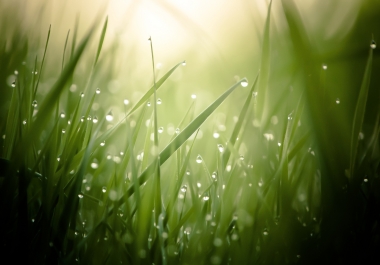 Website advertising space 30 day period