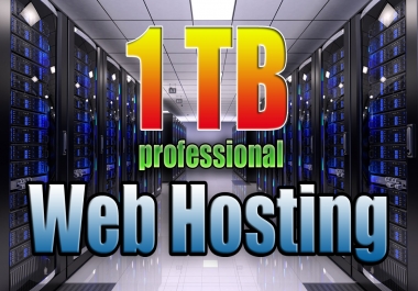 To Provide 1tb Professional cPanel USA Web Hosting + Support