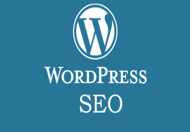 I will do complete wordpress SEO and wp optimization