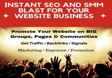 Do an Instant SEO and SMM Blast for Your Website Business