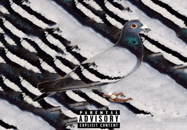 album cover art for websites