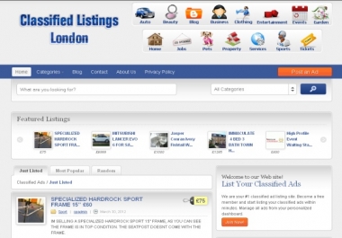 build you professional classifiedads website on wordpress