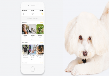 mobile app development great quality and outstanding design
