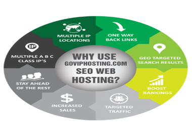 SEO HOSTING - C-CLASS IP's-30