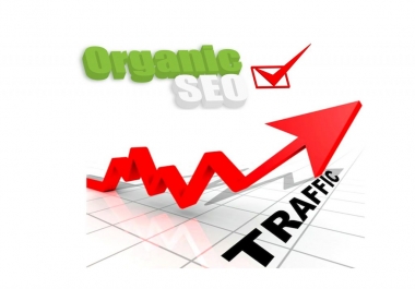 Drive 120,000 Organic Sales Traffic to your e-commerce store website