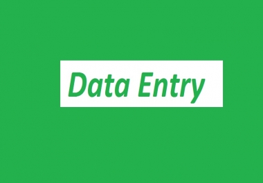 Data entry work for you 100 satisfaction