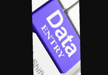 I can do your data entry work
