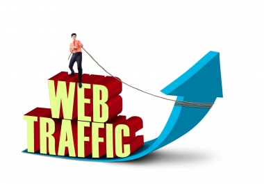 Drive Real Web Traffic For 30 Days To Your Website or Blog