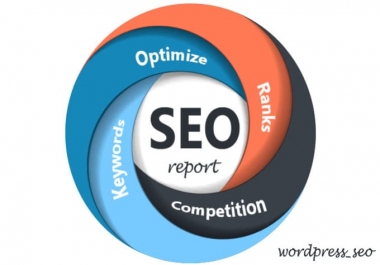 Do a full SEO report for you