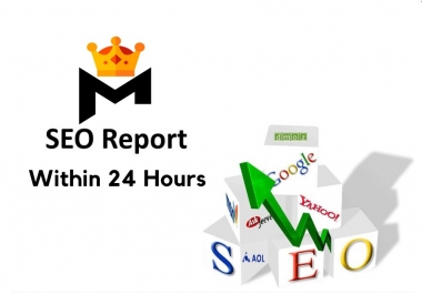 create professional SEO report within 24 hours
