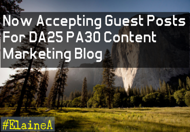I Will Accept Guest Post Add 5000 Page Visits Plus SEO Your Guest Post
