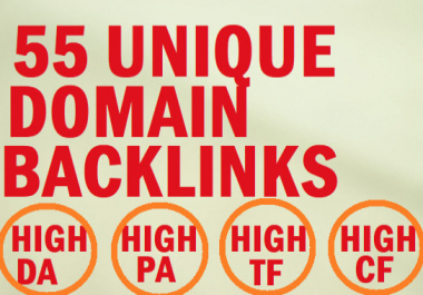 55 unique domain SEO backlinks on high tf da sites