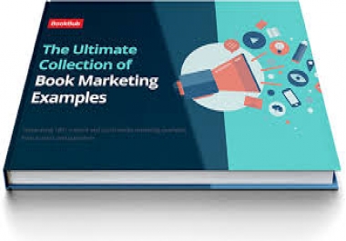 Articles of 13,  500 words each