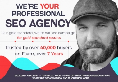 Create A Full SEO Campaign For Your Website