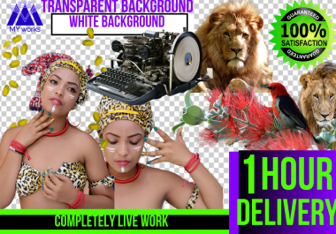 Remove 5 Image Background In Photoshop with transparent or with any colour