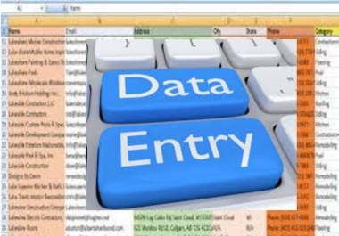 I can do any type of data entry and for you.