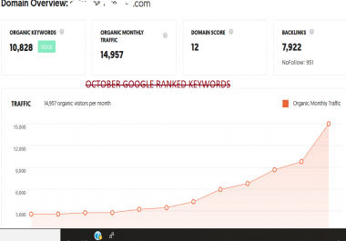 Get 1500 Google Visitors Daily Rank 50-100 Keywords Organic Traffic Real Human