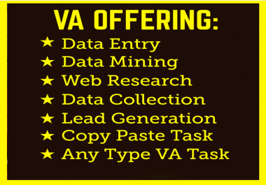 be your virtual assistant for data entry,  data mining,  copy past