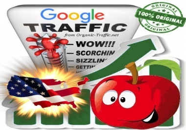 American Search Traffic from Google. com with your Keywords